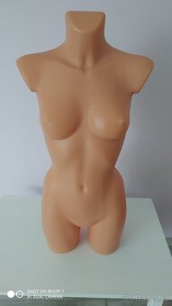 Figurína torzo - 2
