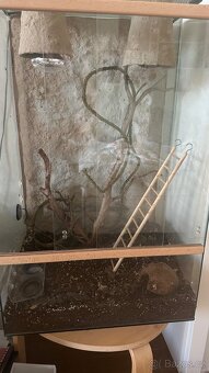 Terárium pro chameleona - 2