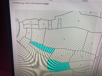 PRODEJ LESA 11 764 m2 Vsetín 211.752,- Kč (18,- Kč/m2) - 2