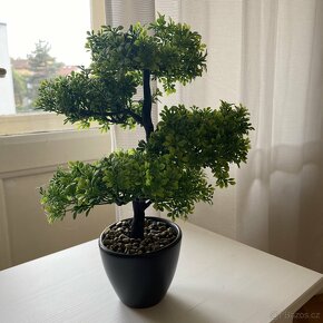 Umělá bonsai - 2