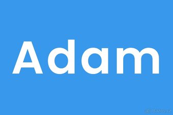 Junior Project Manager - Letná stáž (17. 6. – 12. 9.) - 2