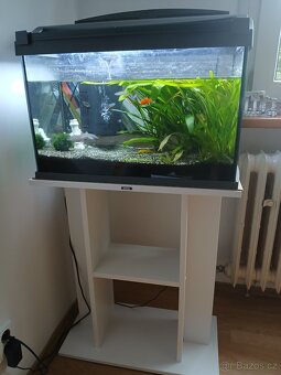 Akvarium - 2