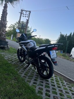 Honda cbf 125 - 2