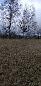 Tráva, seno, pastva, pole, zahrada.Umístění ovcí nebo koz - 2