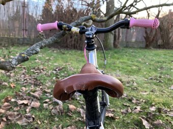 Early Rider Belter 16" - 2