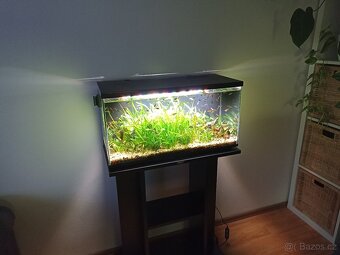 Akvárium+stolek+Led wrgb trubice - 2