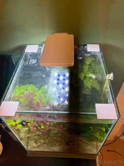 Akvarijni set 30 litru - 2