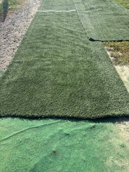 Umělá tráva, koberec - 2