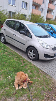 Prodám KIA Venga 1,4  5/2010 - 2