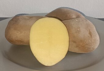Brambory, cibule na uskladnění - 2