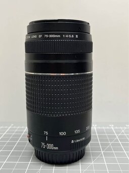 Canon EF 75-300mm f/4-5.6 III - 2