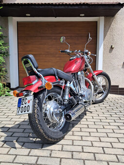 SUZUKI LS650 Savage - 2