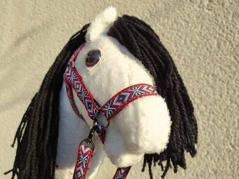 Hobby horse - 2