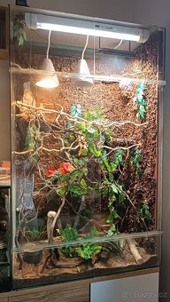 Terárium pro chameleona - 2
