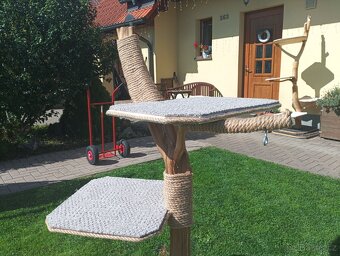 Kočičí skrabadlo - 2