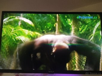 Prodám televizi Tesla 32T300BH HD LED TV, černá - 2