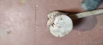 Prodám velkou starou palici - 2