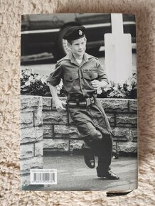 Náhradník Princ Harry - jednou čtená - 2