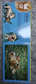 Puzzle - 2