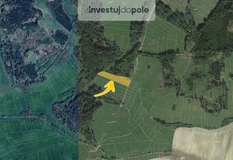 Prodej louky v k.ú. Nová Ves u Nepomuka - 2