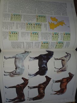 Koně ..velká kniha o chovu a výcviku koni - 2