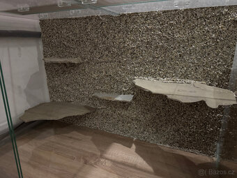 Terárium pro Agamu - 2