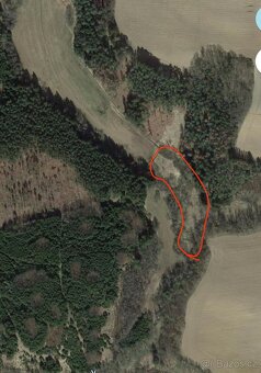 Pozemky pro možnou výstavbu rybníka nebo tůní - 2