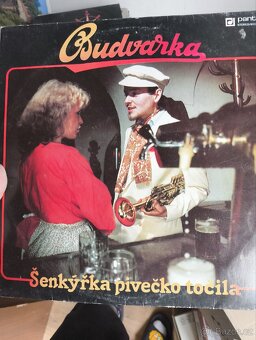 Gramofonové desky - 2