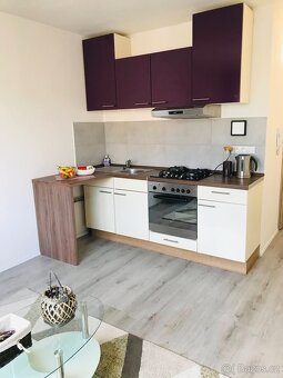 Pronájem 1+1 byt 40 m2 Strakonice - 2