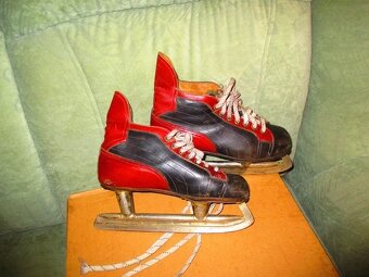 40,5-Retro brusle - 2