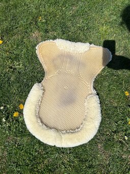 Gelovka s beránkem - 2