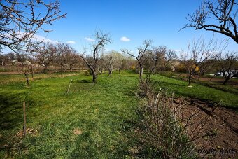 Prodej zahrady (752 m2 ), Rajhrad, ev.č. 00298 - 2