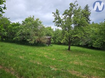 Pronájem zahrady, 10.029 m2, Chlumany - 2