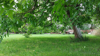 Hrubý Jeseník 8km od Nymburka byt 2+1, zahrada - 2