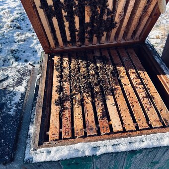 Vyzimovaný oddělek - 2