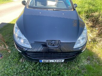 Peugeot 407 sw - 2