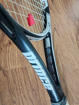 Prince Warrior EXO3 100 - 2