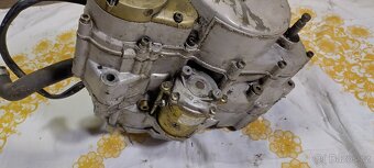 Motor Rotax 123 Aprilia AF1 Pegaso Red Rose - 2