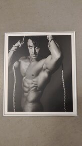 Černobílé fotografie aktů ve stříbrných rámech - 2