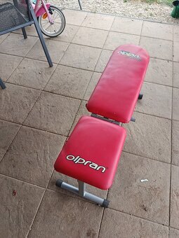 Nastavitelná fitness lavice - Olpran - 2