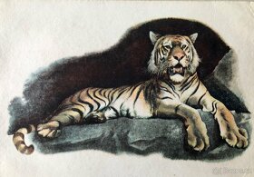 ZOO - lepolero - 2