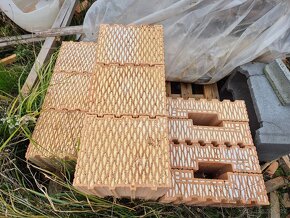 Cihly Heluz Family - 2