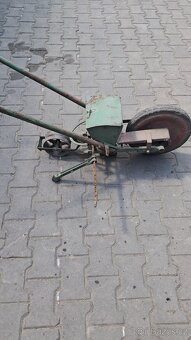 Secka repy - 2