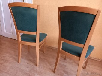 Židle 2x + lampa + koberec - 2