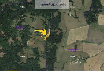 Prodej louky v k.ú. Málkov u Přimdy - 2