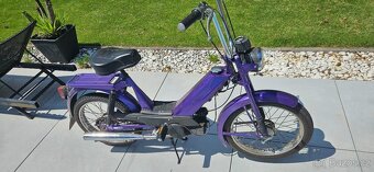 Babeta 207 - 2