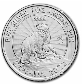 1 OZ stříbrná mince Majestic Polar Bear 2022 - 2