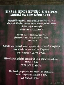 Kniha Nezvěstná - 2