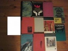 Zahraniční literatura (třeba) k maturitě - 2