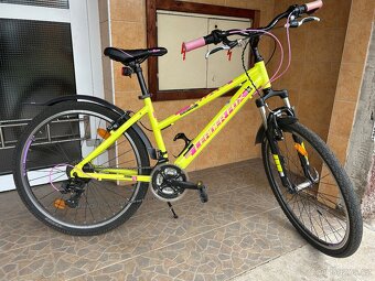 Leader fox - kolo - 2